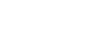 InnCat logo white